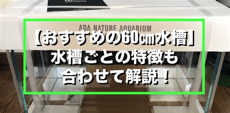 水槽|60㎝水槽におすすめの水槽10選！メーカーや特徴と。